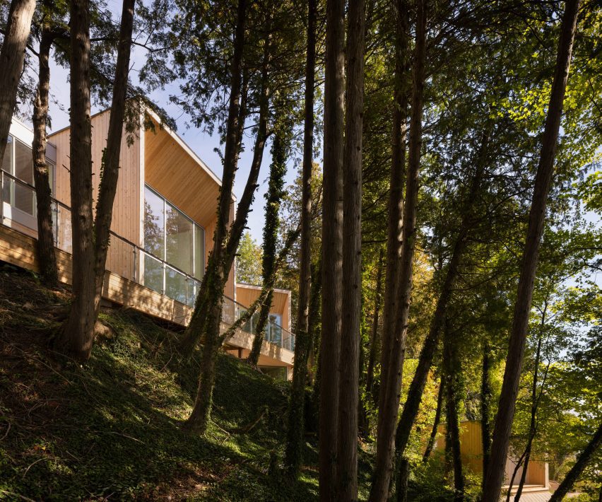 Cedar's Kin house in Canada by Omar Gandhi Architects