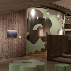 Encounters: Denise Scott Brown Photographs exhibition at Yale