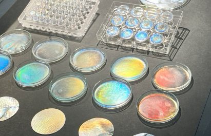 Photo of Petri dishes of nanocellulose with a rainbow of iridescent hues created through structural colour in the surface