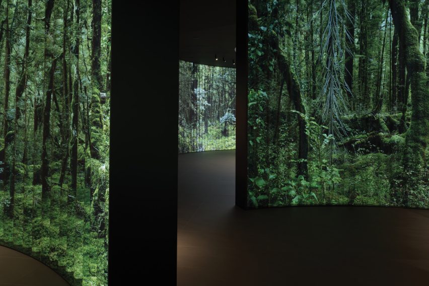 Screens of forest videos