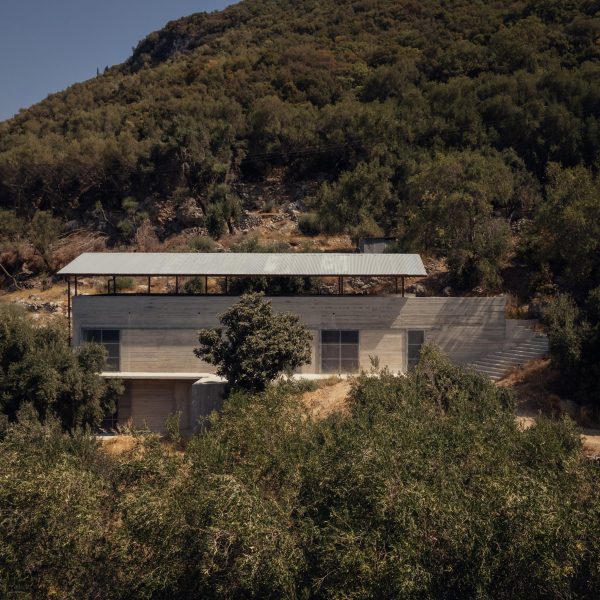 House in an Olive Grove by Invisible Studio
