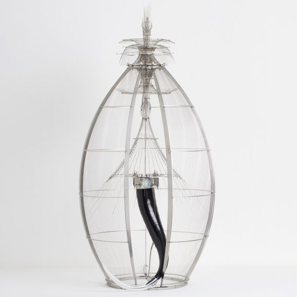 Becoming In lamps by Anita Morvillo