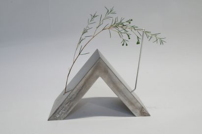 Anomia by María Luisa Becerril Hernández and Ana Laura Matus Marcos