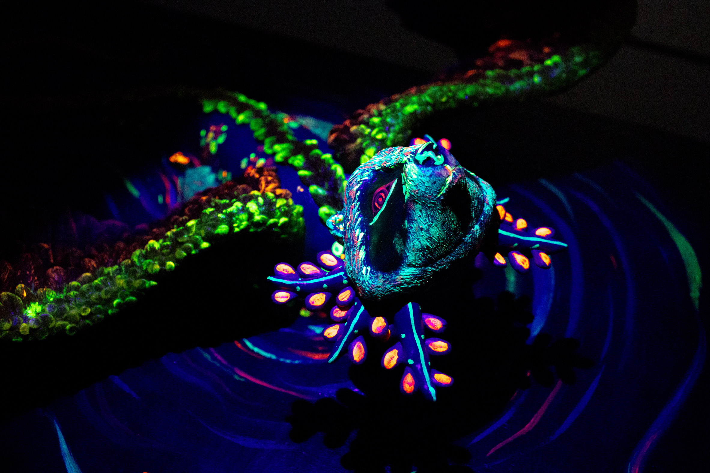 an image of a model of a creature in tones of blue, green and orange