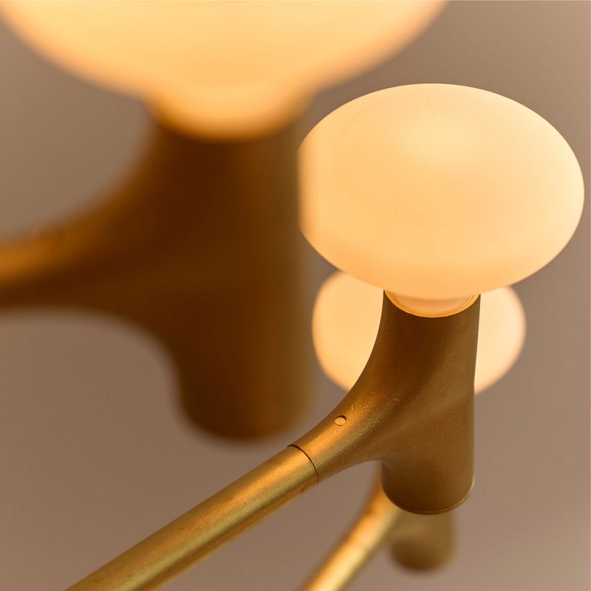 Root chandelier by Tala