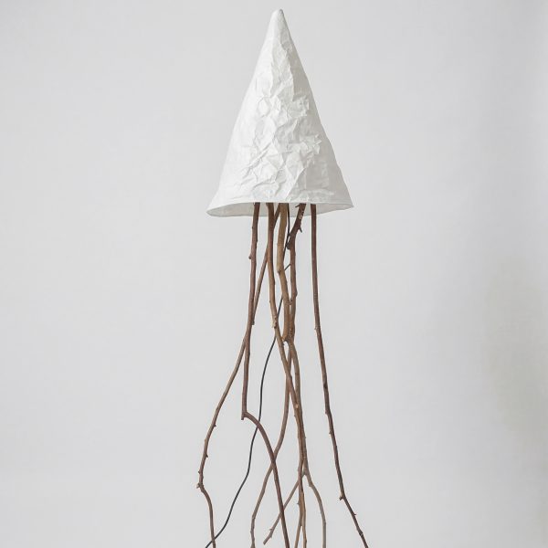 Photo of the TG-01 lamp by Dong Liu