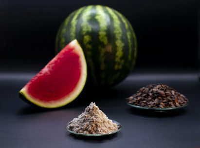 Watermelon, sawdust and struvite on a table