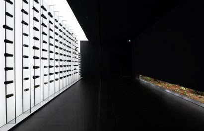 Gallery of cameras
