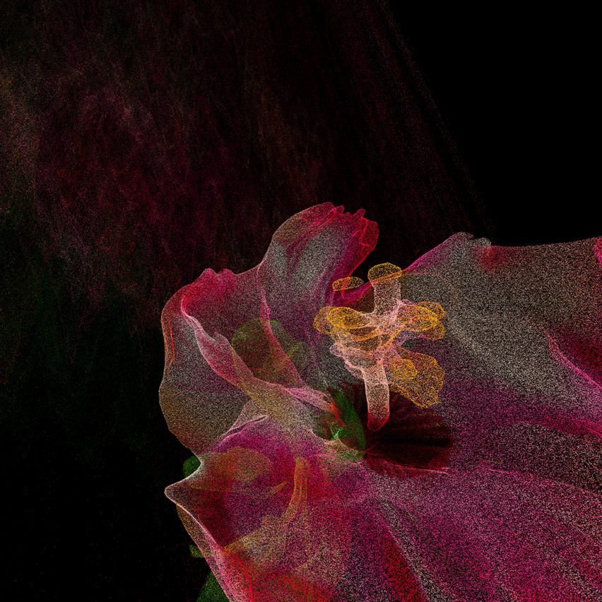 a digital abstract image in tones of pink, orange and black