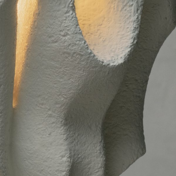Close up photo of mycelium-based composite