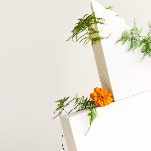 White acoustic ceiling tiles display
