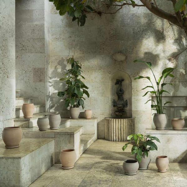 Display of terracota pots and plants
