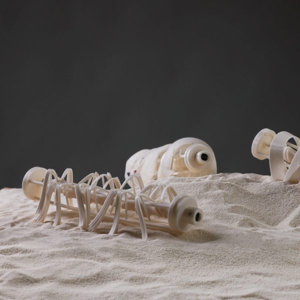 Images of three small objects laying on sand.