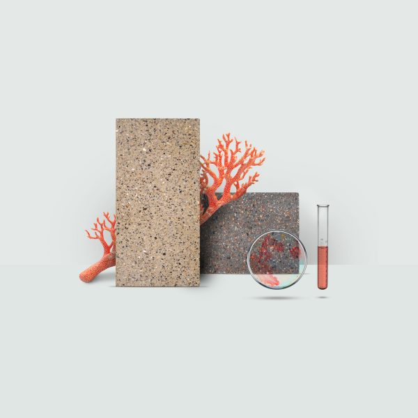 Display of bacteria-grown floor tiles