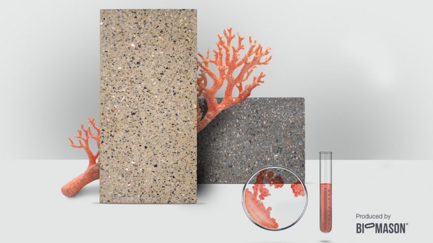 Display of bacteria-grown floor tiles