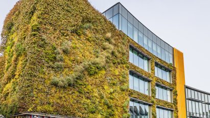 Green wall building