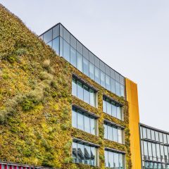 A stock image of a building with a green facade