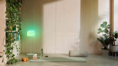 Govee Lantern Floor Lamp