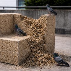 NYCxDesign 2026 pigeons on turf furniture