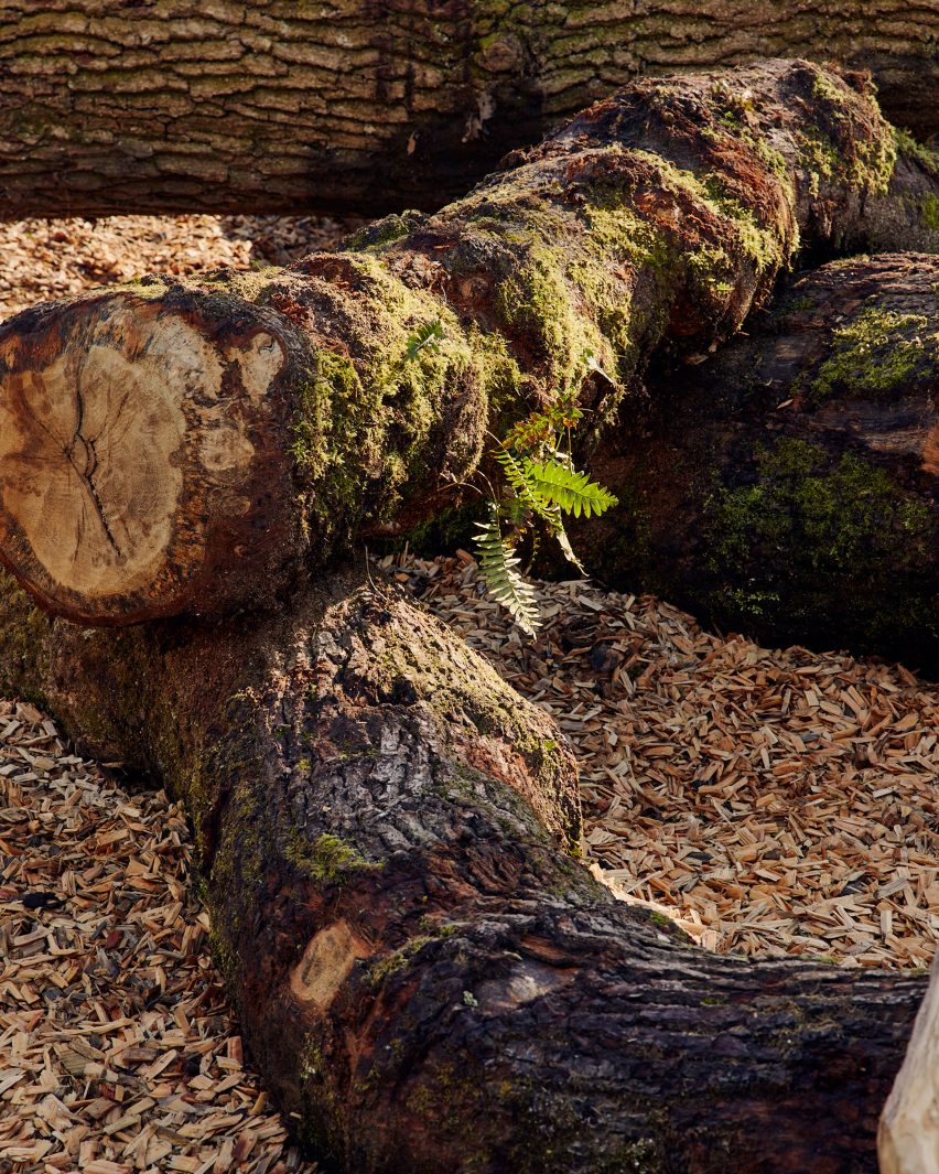 Silk Wood Playscape at Westonbirt Arboretum by Pearce+, Invisible Studio and Lean Structures