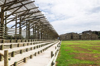 Eucalyptus-wood stadium in Lesotho