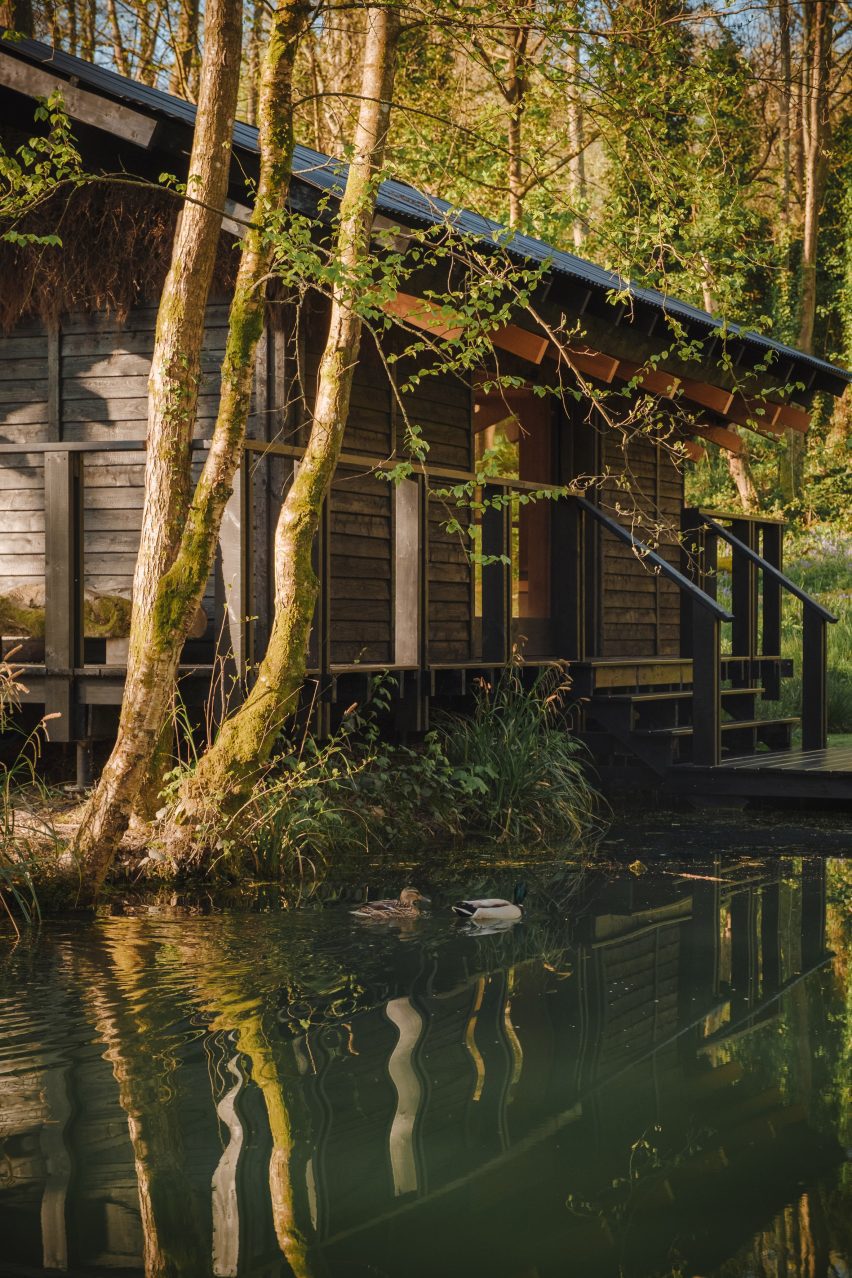 Yogi's Cabin by Built Works