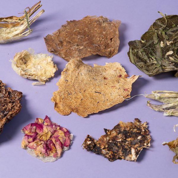Photo of material made from botanic waste