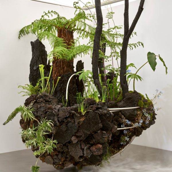 Chelsea Flower Show