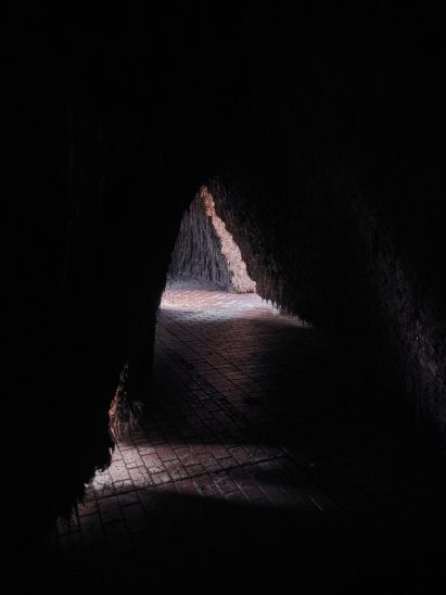 Interior view of Origo by Delcy Morelos