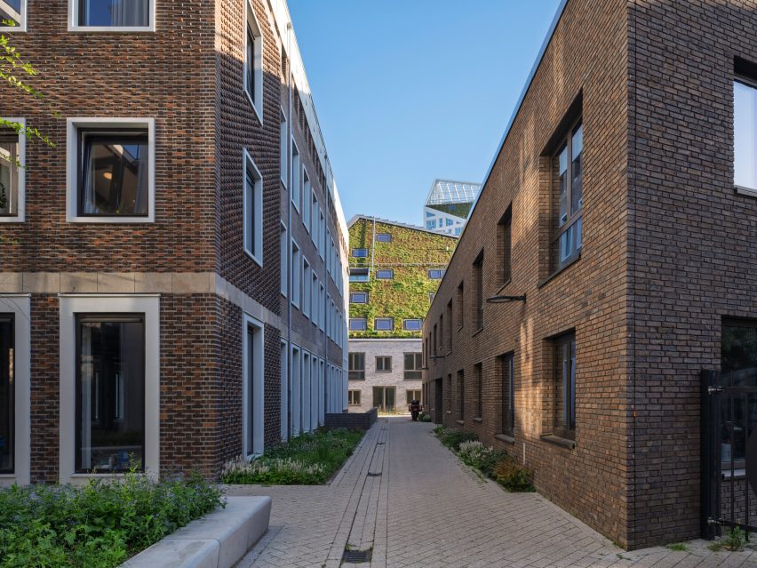 Nieuw Bergen by MVRDV