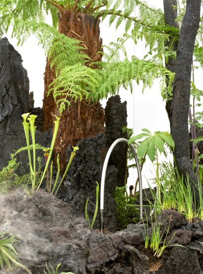Close-up of the vegetation