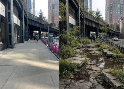 Photo of a street next to an edited version with plants