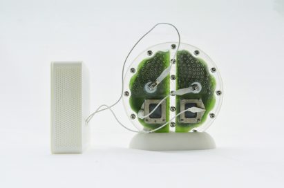 Photo of the back of the University of Cambridge's circular biophotovoltaic panel filled with blue-green algae, showing wires and connectors leading from the device