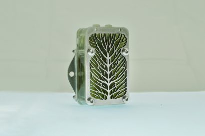 Photo of the University of Cambridge's demonstrator algae biocell showing a fine metal leaf vein design on the front plate