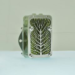 Algae biocell by Lucia Giron and University of Cambridge researchers