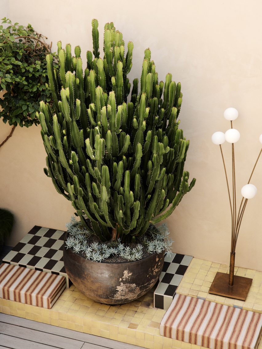 potted cactus in courtyard in Cinderella House by YSG Studio