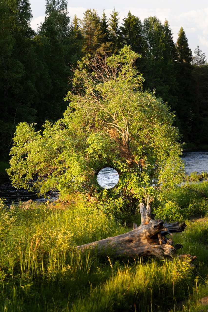 Photo of Antti Laitinen's You Are Here artwork with a circular portal appearing in the middle of a tree showing flowing river waters on the other side