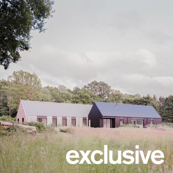 House in a Clearing by TaylorHare Architects