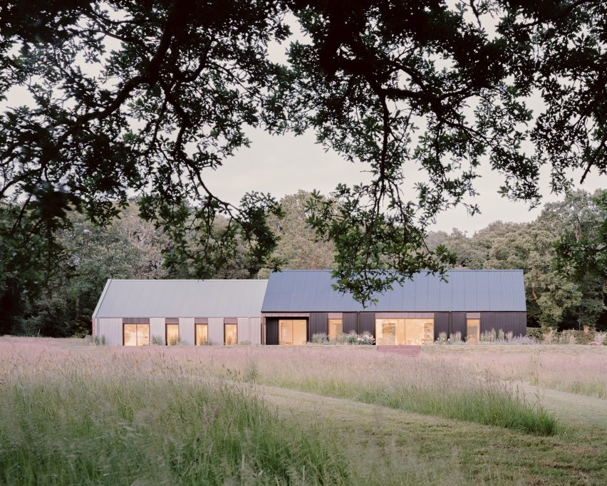 House in a Clearing by TaylorHare Architects
