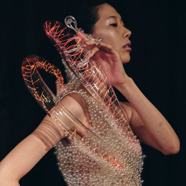Iris van Herpen dress