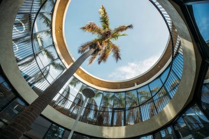Upward view from a courtyard showing a palm tree rising through a circular opening in the roof