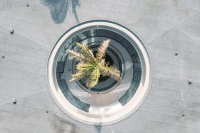 Aerial close-up of a circular roof opening surrounding a palm tree within the concrete canopy