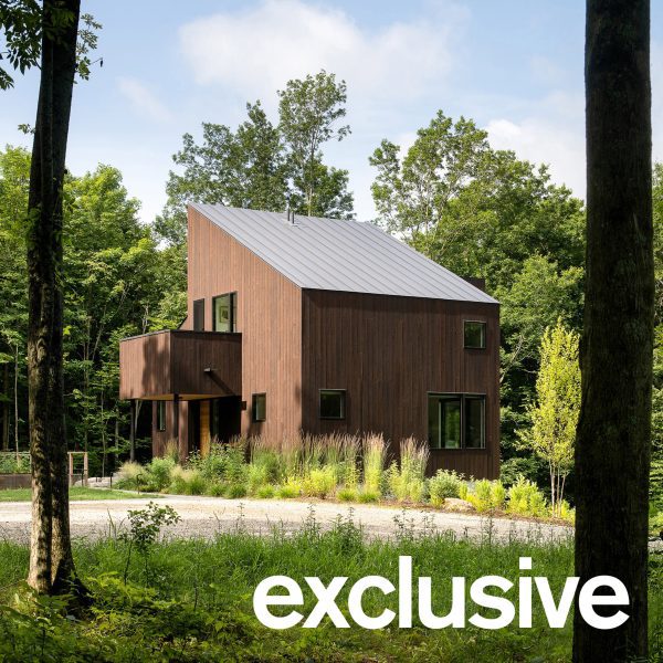 Charred wood gives Vermont house a “bark-like exterior”