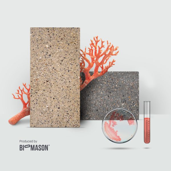 Graphic for Front at Material Matters