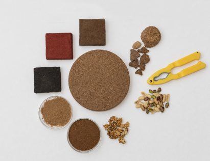 Whynut by Nicole Dalle Molle, Giulia Luppi, Selma Wittermann and Mrunal Deshpande