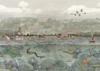Anguilla: European Eel Conservation and Education Centre by Lily-Grace Conradie