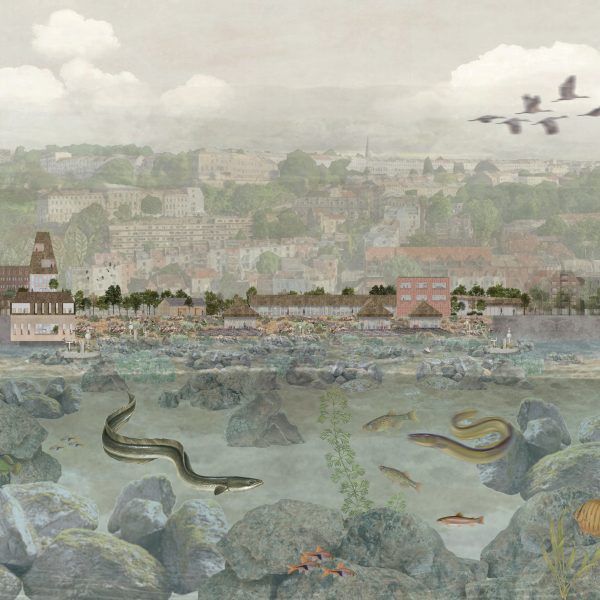 Anguilla: European Eel Conservation and Education Centre by Lily-Grace Conradie