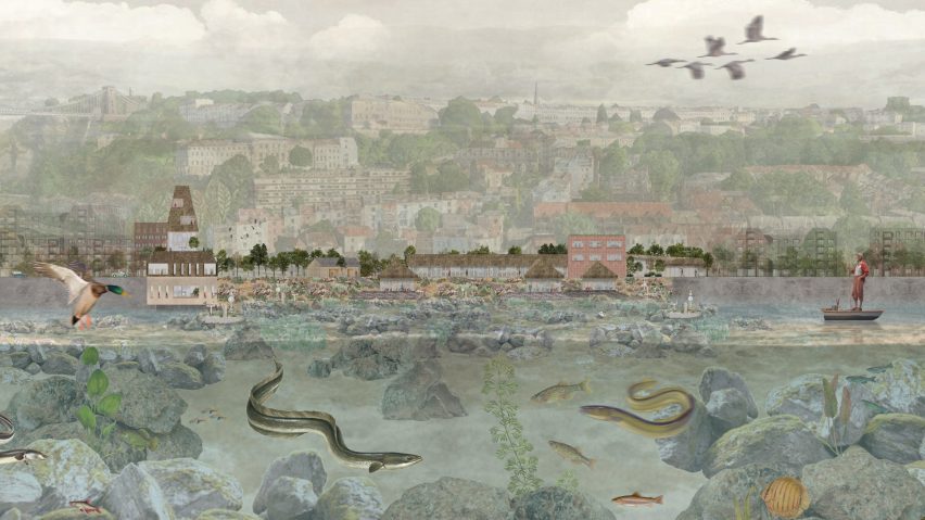 Anguilla: European Eel Conservation and Education Centre by Lily-Grace Conradie