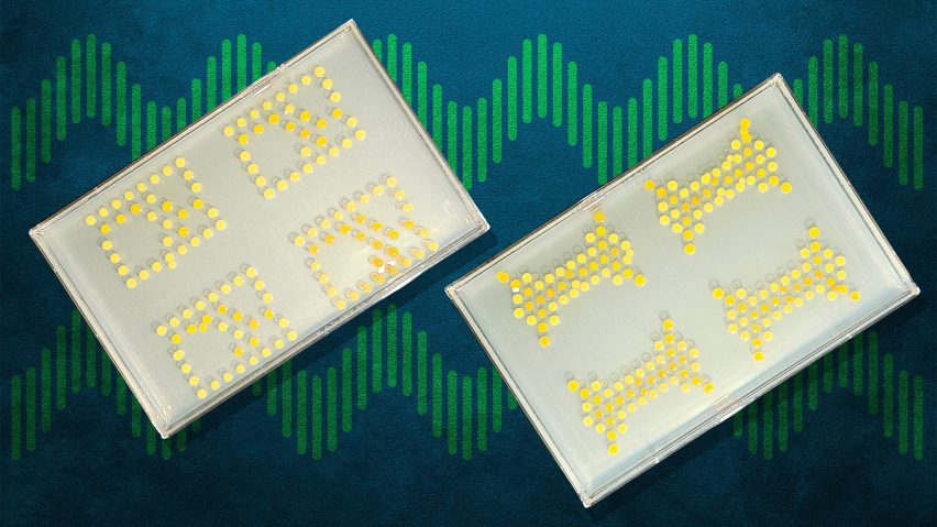 MIT researchers engineer bacteria that could program plants for self-defence