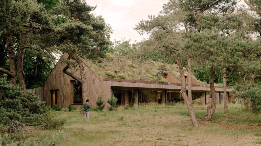 Office by Nature by Studio Massimo